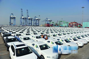5421辆进口豪车登陆新沙港码头